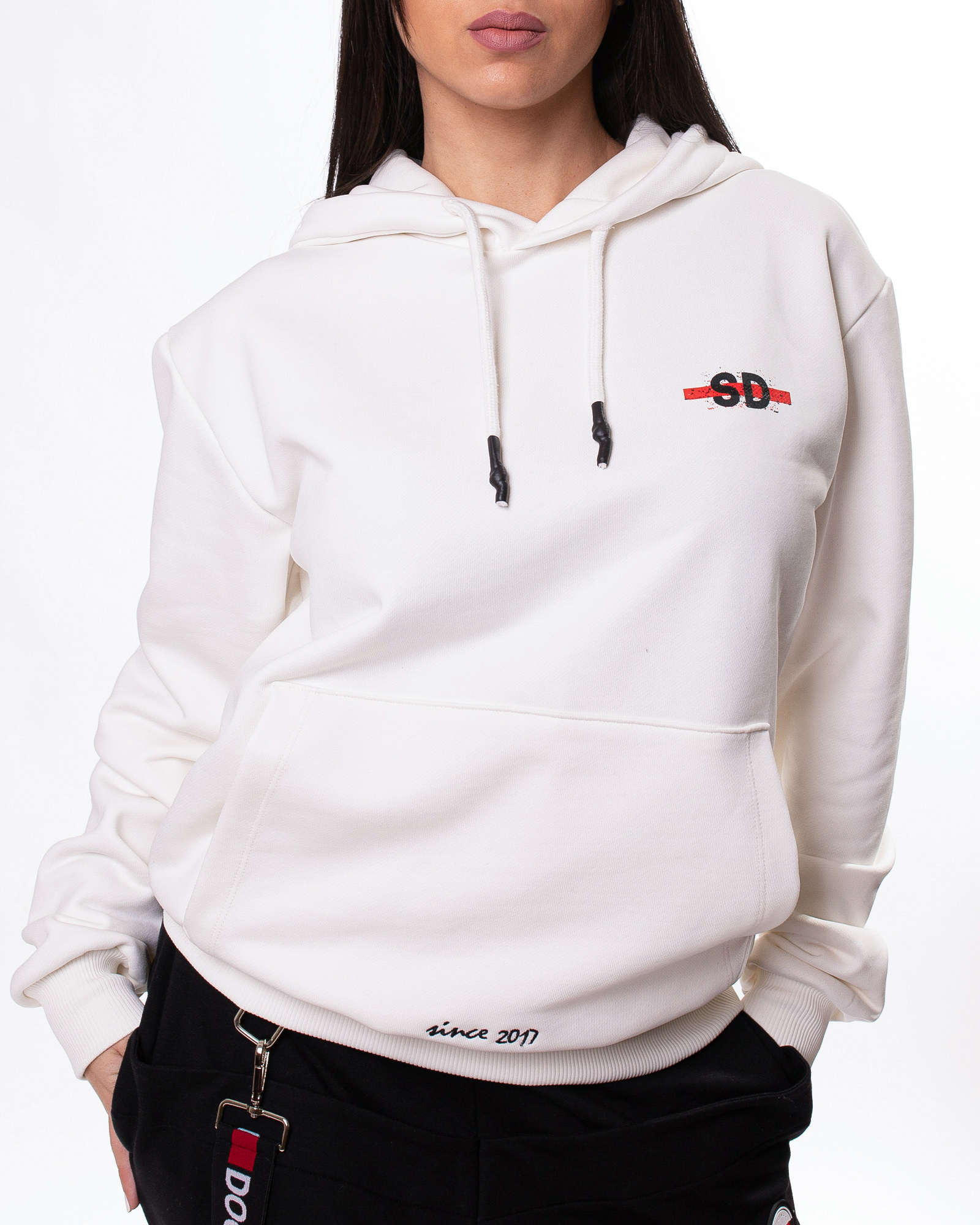 SD Lion hoodie